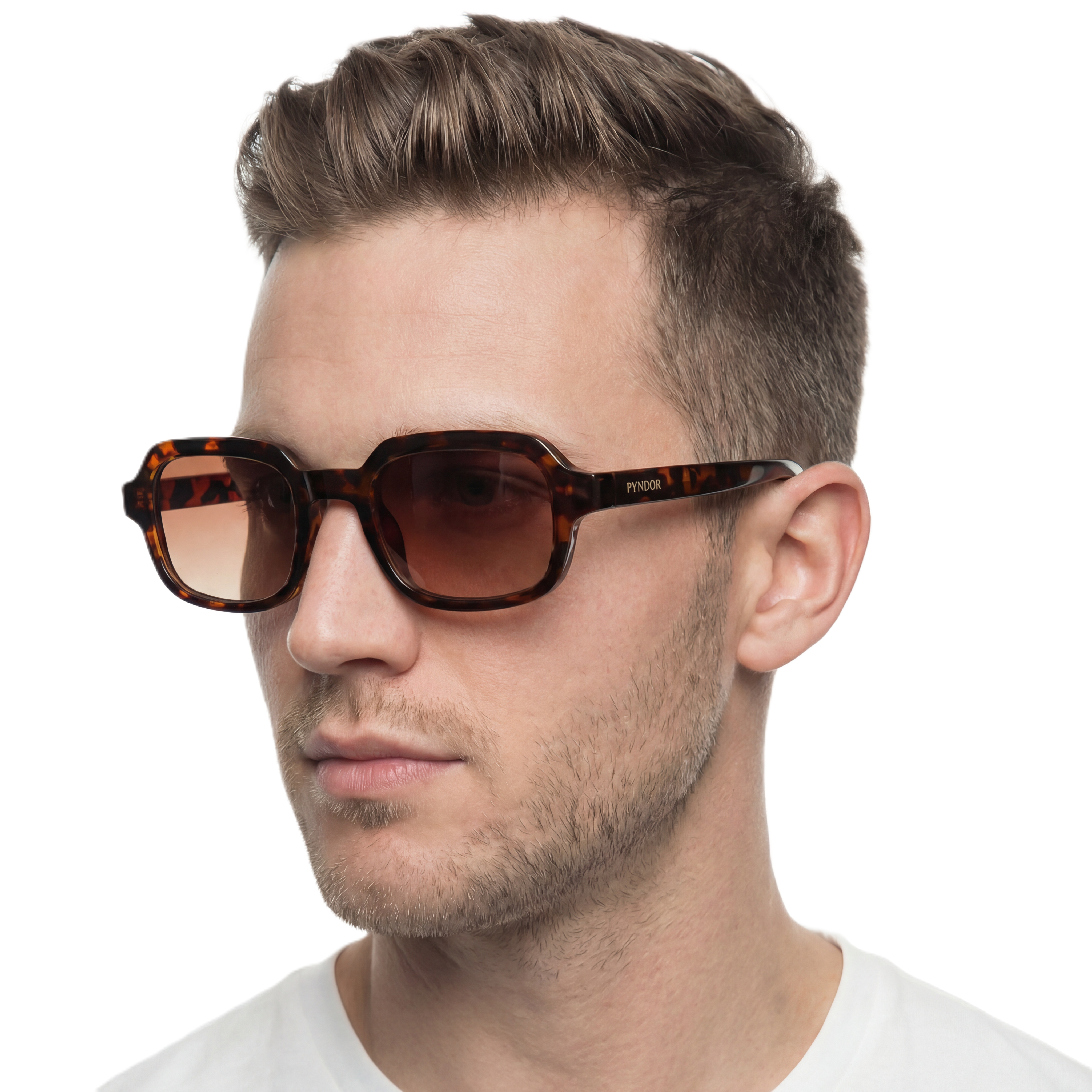Ardena Tortoise Brown