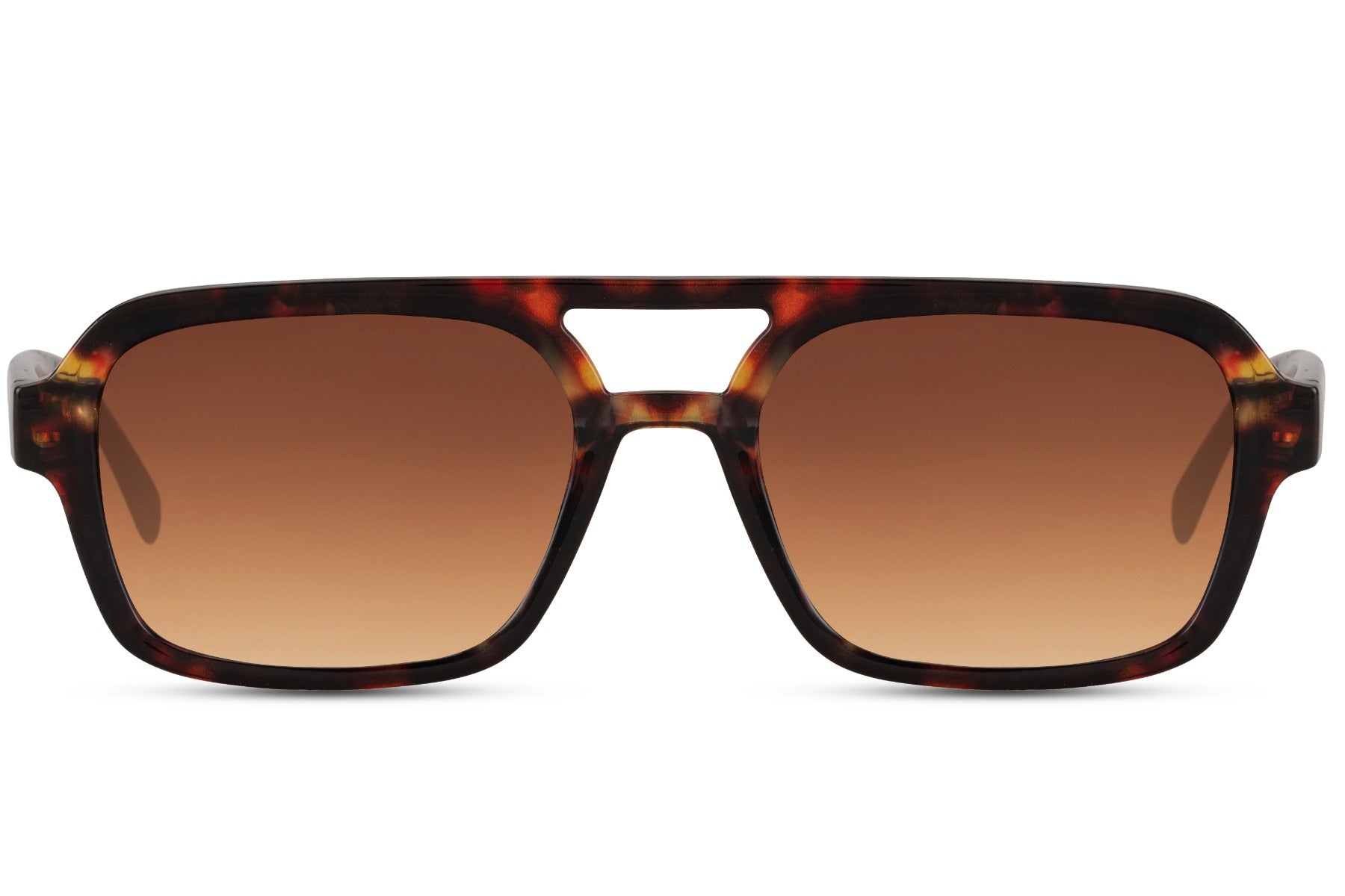 Notos Tartaruga Brown