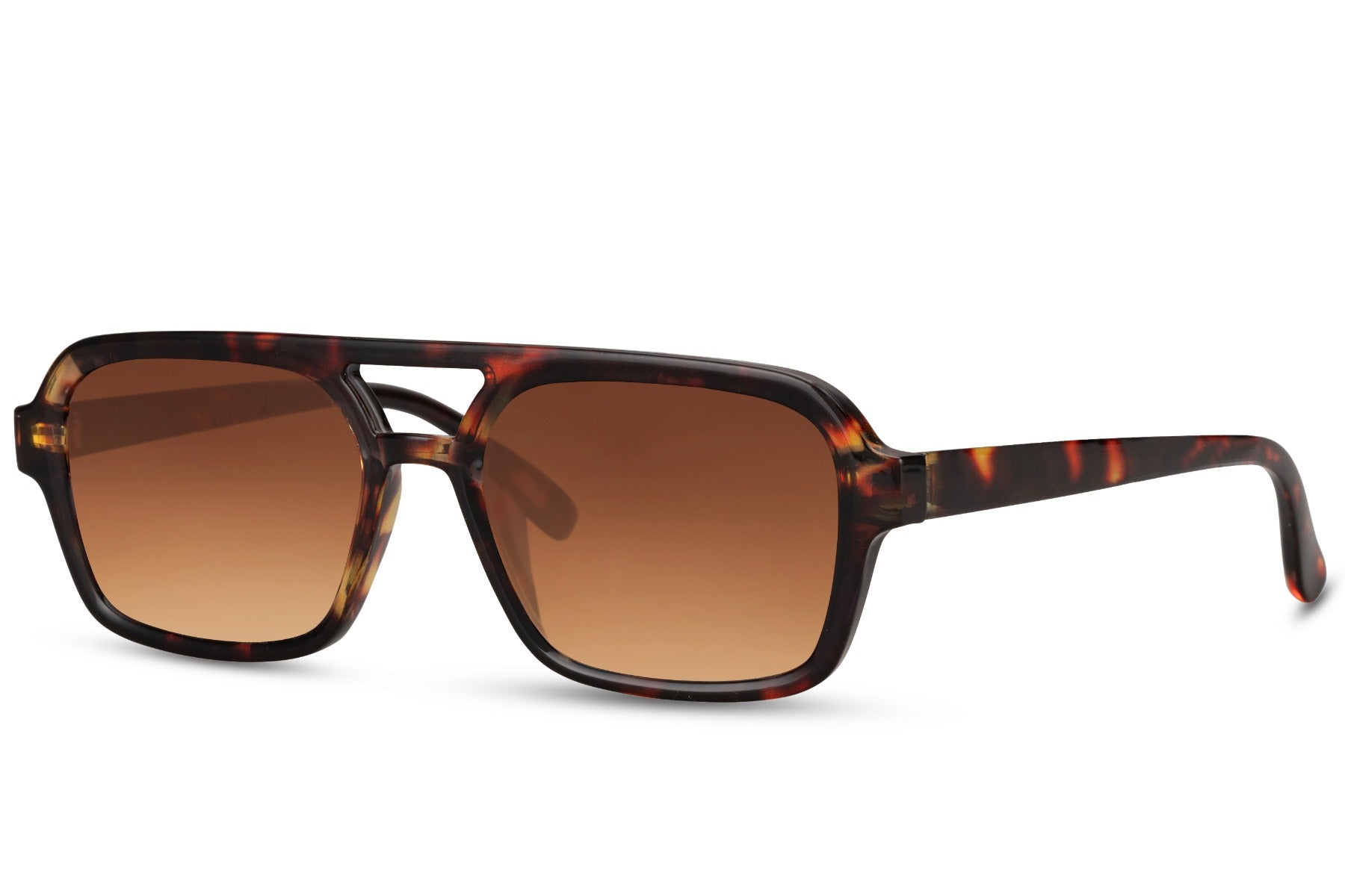 Notos Tartaruga Brown