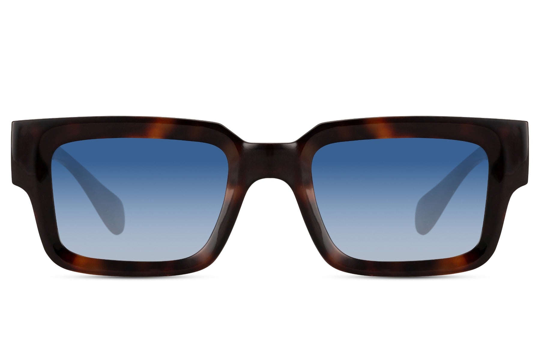 Jason Tartaruga Blue