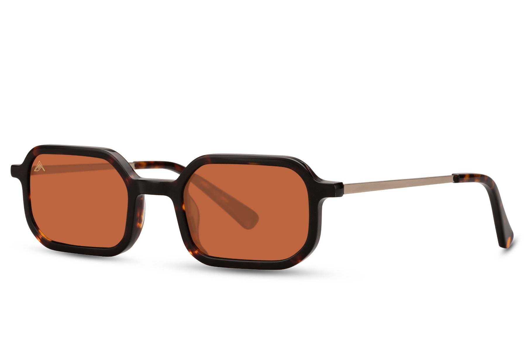 Iason Tartaruga Brown