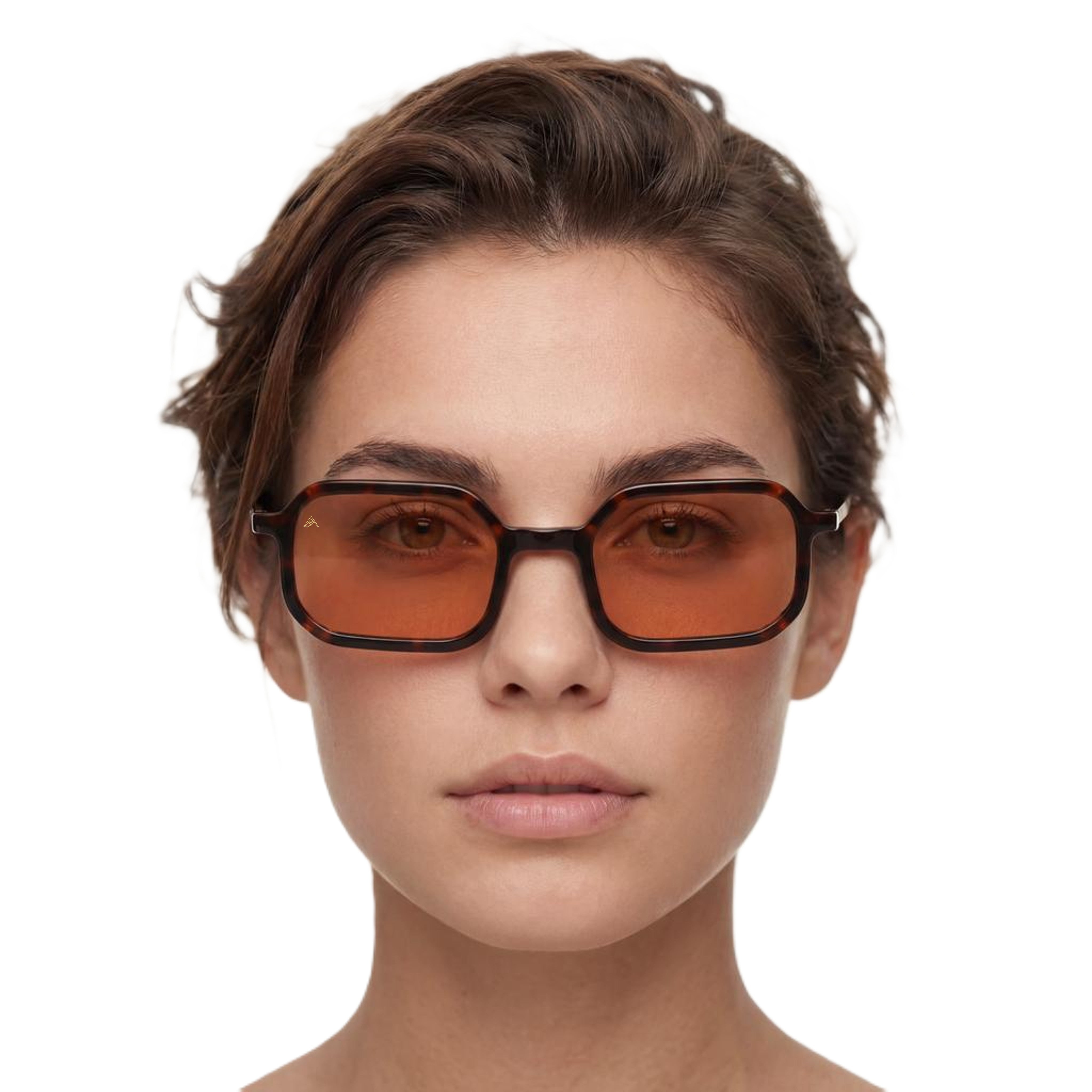 Iason Tartaruga Brown